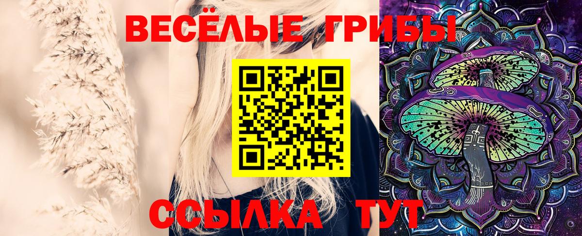 Галлюциногенные грибы Psilocybe  Псилоцибиновые грибы GOLDEN TEACHER  Вход с VPN  Кондопога 
