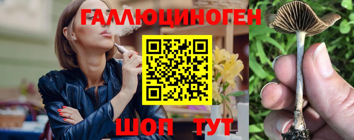 Галлюциногенные грибы Cubensis Кондопога